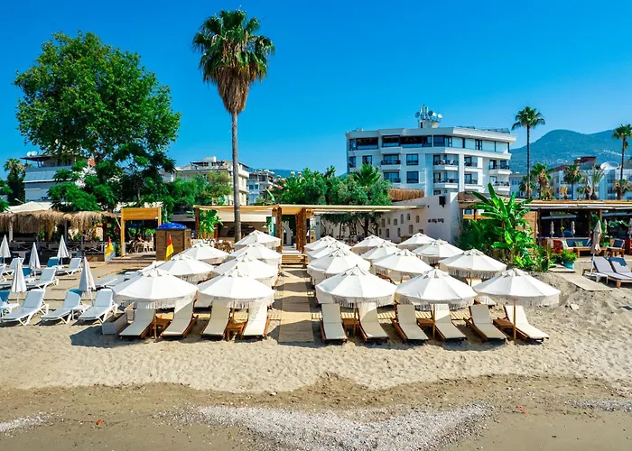 Demanor Adult Only *